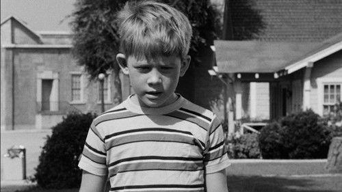 The Andy Griffith Show Season 4 Episode 1 - Opie the Birdman