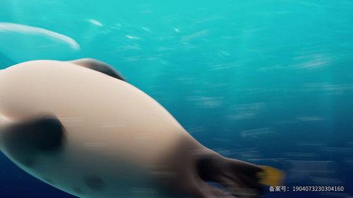 씰룩 Season 1 Episode 10 - Episode 10