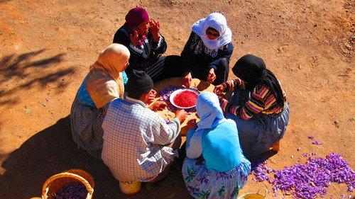 How Do They Do It? Season 10 Episode 2 - Saffron, Ice Roads, Shelby