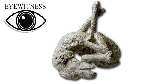 Eyewitness Season 3 Episode 8 - Natural Disasters