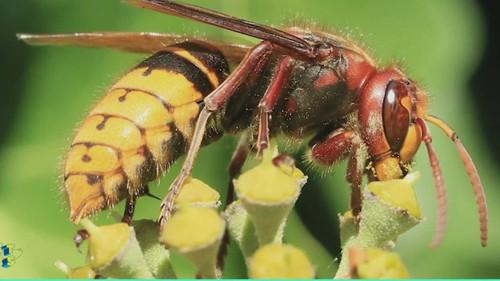 C'est toujours pas sorcier Season 1 Episode 1 - Episode 1