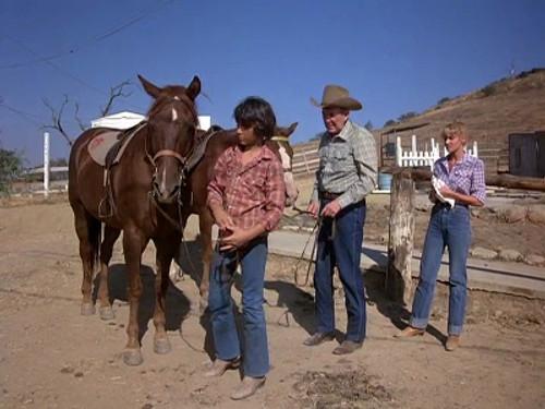 Quincy, M.E. Season 7 Episode 6 - For Want of a Horse