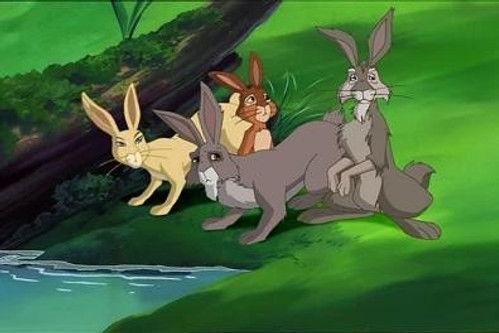Watership Down Season 3 Episode 3 - The Wanderer
