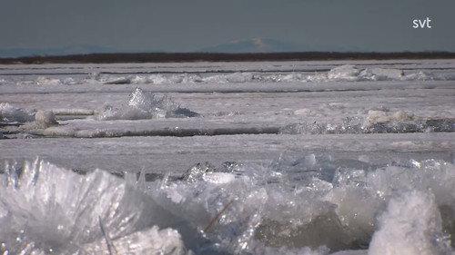 Amur: Asia's Amazon Season 1 Episode 1 - The Far East