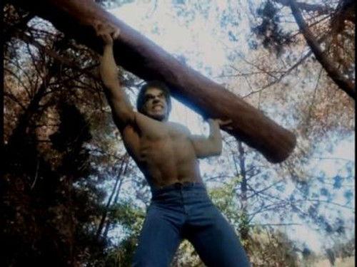 The Incredible Hulk Season 3 Episode 9 - The Snare