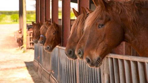Countryfile Season 34 Episode 19 - Cranbourne Chase