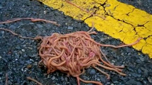 Strange Evidence Season 4 Episode 10 - Doomsday Vegas UFO