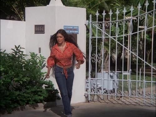 Hawaii Five-O Season 8 Episode 12 - The Waterfront Steal