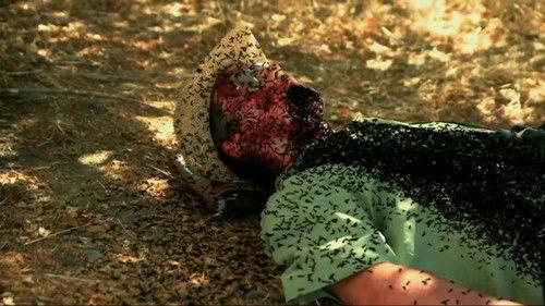 1000 Ways to Die Season 3 Episode 13 - Dying to Tell the Story