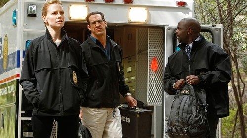 NCIS Season 8 Episode 23 - Swan Song