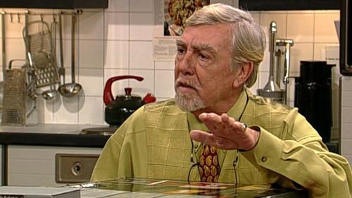 Oppassen!!! Season 9 Episode 10 - Gevogel