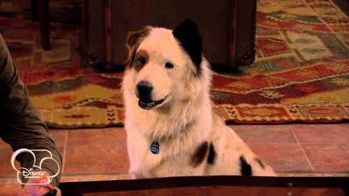 Dog with a Blog Season 1 Episode 19 - Stan Talks to Gran