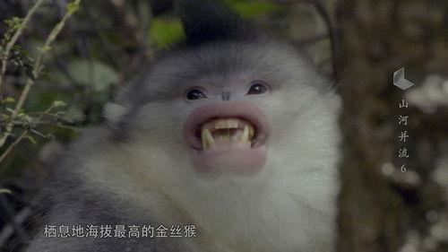 China: The Sublime Season 1 Episode 6 - Episode 6