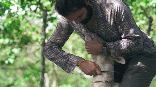 Jungletown Season 1 Episode 4 - The Company and the Commune