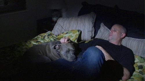 Australian Story Season 21 Episode 18 - Into The Fog Of War (Part 2)