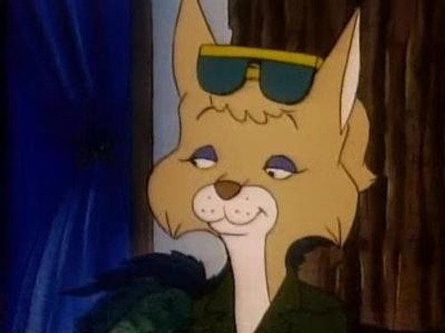 The Raccoons Season 5 Episode 1 - Cold Feet!