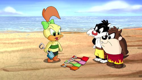 Baby Looney Tunes Season 2 Episode 21 - A Turtle Named Myrtle