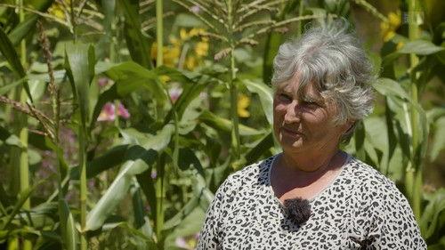 Hinter den Hecken Season 4 Episode 4 - An organic garden