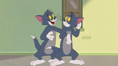 Tom and Jerry in New York Season 2 Episode 1 - Top of the Heap / Stunt Double Trouble / Surfer Supreme / Kabuki Cat