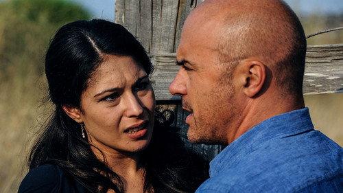 Inspector Montalbano Season 8 Episode 2 - The Gull’s Dance