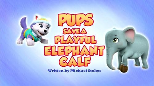 PAW Patrol Season 9 Episode 21 - Pups Save a Playful Elephant Calf