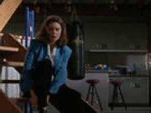 Silk Stalkings Season 5 Episode 9 - Partners (2)