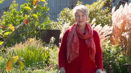 Gardening Australia Season 32 Episode 10 - Episode 10 Bromeliads, Container Combos & Spider Love