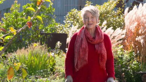 Gardening Australia Season 32 Episode 10 - Episode 10 Bromeliads, Container Combos & Spider Love