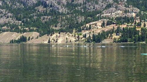 Strange Evidence Season 4 Episode 11 - The Man Who Laid an Egg