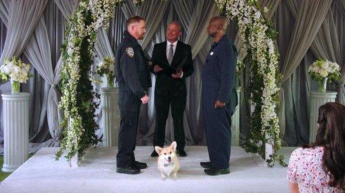 Brooklyn Nine-Nine Season 8 Episode 8 - Renewal