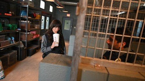 Animal Control Season 1 Episode 3 - Cougars and Kangaroos