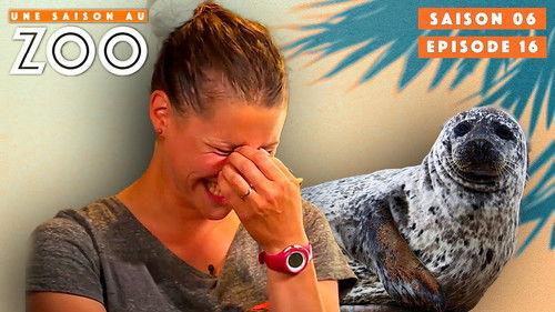 Une saison au zoo Season 6 Episode 16 - Episode 16