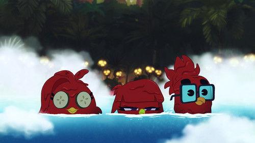 Angry Birds Mystery Island Season 1 Episode 12 - A-squawk-alypse Now