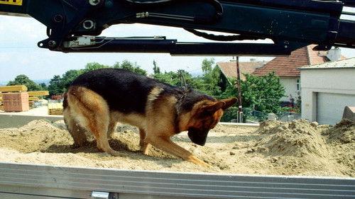 undefined Season 3 Episode 11 - Murder à la carte