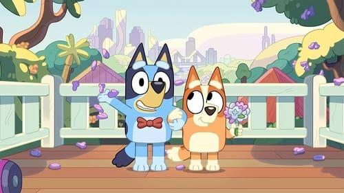 Bluey Season 2 Episode 19 - The Show