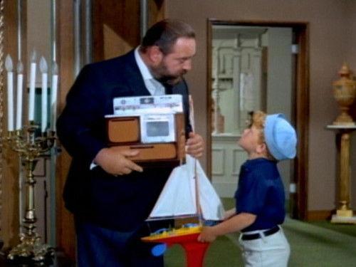 Family Affair Season 2 Episode 8 - The Toy Box