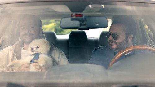 Errands Season 1 Episode 2 - Köpek