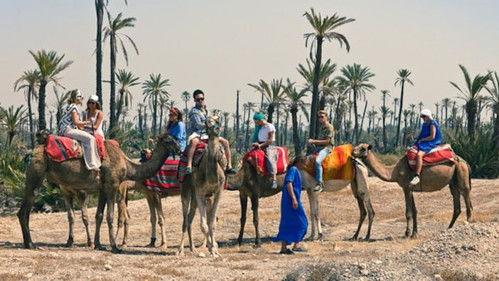 Made in Chelsea Season 2 Episode 8 - How Do They Find Flamingo Roadkill?