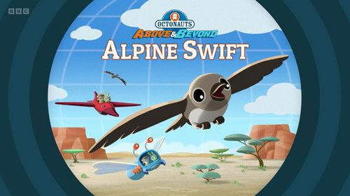 Octonauts: Above & Beyond Season 4 Episode 10 - Alpine Swift