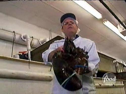 Good Eats Season 4 Episode 4 - Crustacean Nation II: Claws