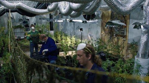 Home Grown Season 1 Episode 5 - For 7x70 Times