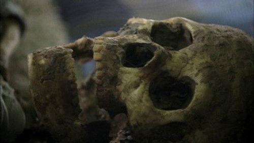 undefined Season 11 Episode 5 - House of Hoarders