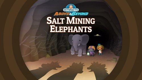 Octonauts: Above & Beyond Season 2 Episode 12 - Salt-Mining Elephants