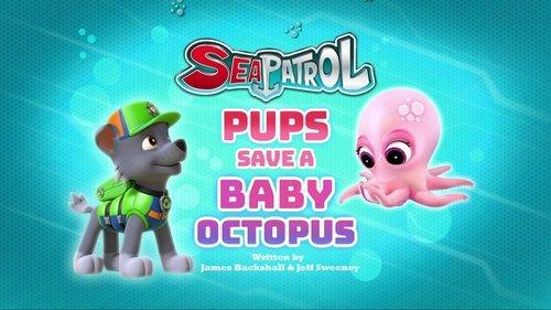 PAW Patrol Season 4 Episode 17 - Sea Patrol: Pups Save a Baby Octopus