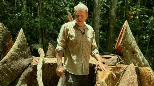 Vores jord - kurs mod nye eventyr Season 1 Episode 4 - Sambafolk og guldgravere (Brasilien)