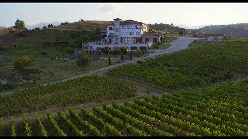 The Grapes of Guilt Season 2 Episode 6 - Cabernet Franc