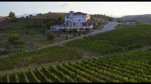 The Grapes of Guilt Season 2 Episode 6 - Cabernet Franc