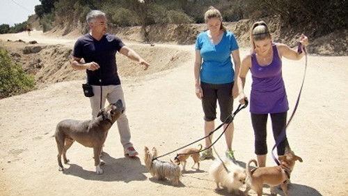 Cesar 911 Season 2 Episode 11 - Holly's Terror