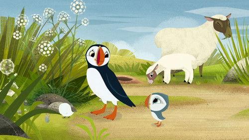 Puffin Rock Season 1 Episode 29 - Baba's Friend