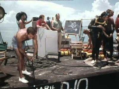 Flipper Season 2 Episode 11 - A Job for Sandy